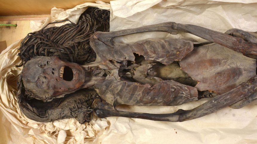 Unlocking the Mystery: The Silent ‘Scream’ of an Ancient Egyptian Mummy Revealed at Death