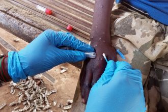 Mpox Strikes Again: Unpacking the Global Health Emergency