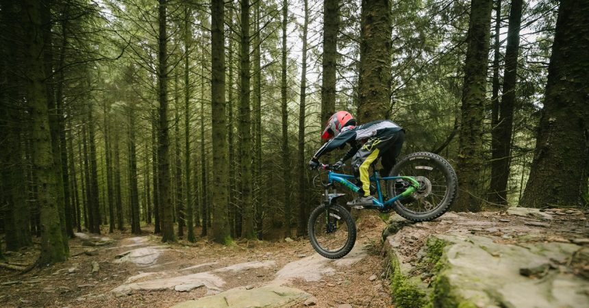 How Mountain Bikers Are Transforming Landscapes: The Surprising Partnership with Government for Rewilding