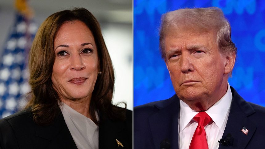 Political Alliance: ‘Never Trumpers’ Unite in Support of Harris for a Bold Democratic Ticket!