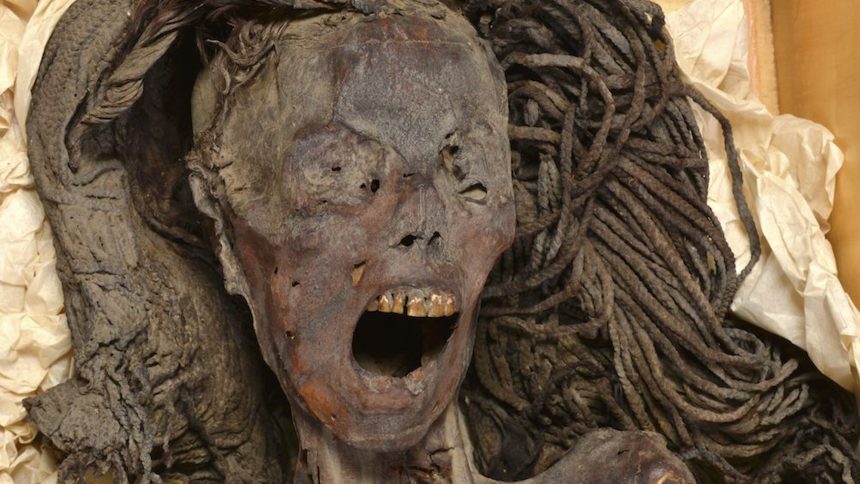 Shocking Discovery: ‘Screaming Woman’ Could Unravel a 2,500-Year-Old Mummy Mystery!