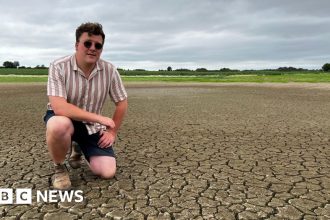 Resilience in Ruins: Farming Faces ‘A Catastrophic Year’ After Devastating Floods