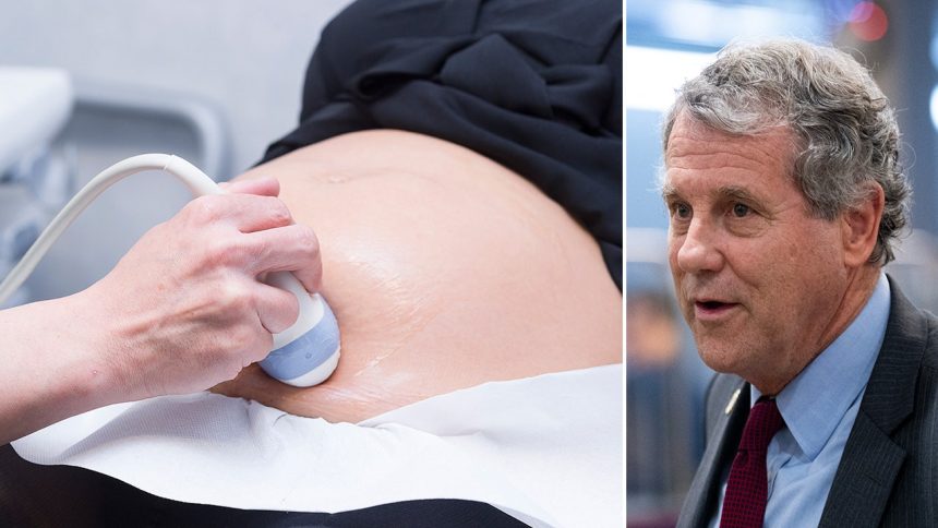 Ohio Senator Sherrod Brown Sparks Controversy by Replacing ‘Women’ with ‘Pregnant Persons’ in Pregnancy Bill