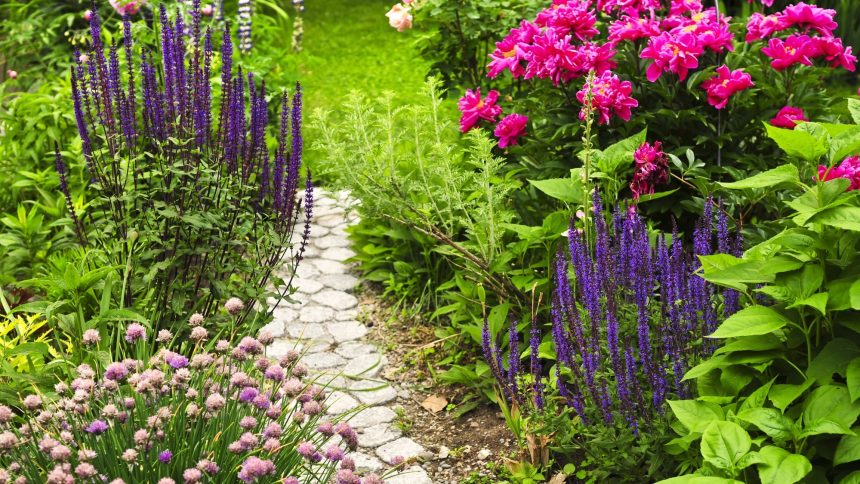 Unlock the Secrets of Your Garden: Discovering Your Gardening Zone!