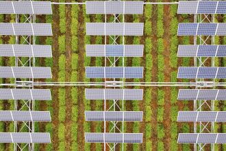 Can Solar Farms and Crop Farms Thrive Together? Exploring the Future of Sustainable Agriculture!