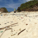 Revolutionary Satellite Imaging Uncovers Hidden Plastic Waste on Our Beaches!